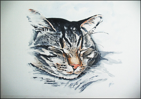 Gerda Aquarellen